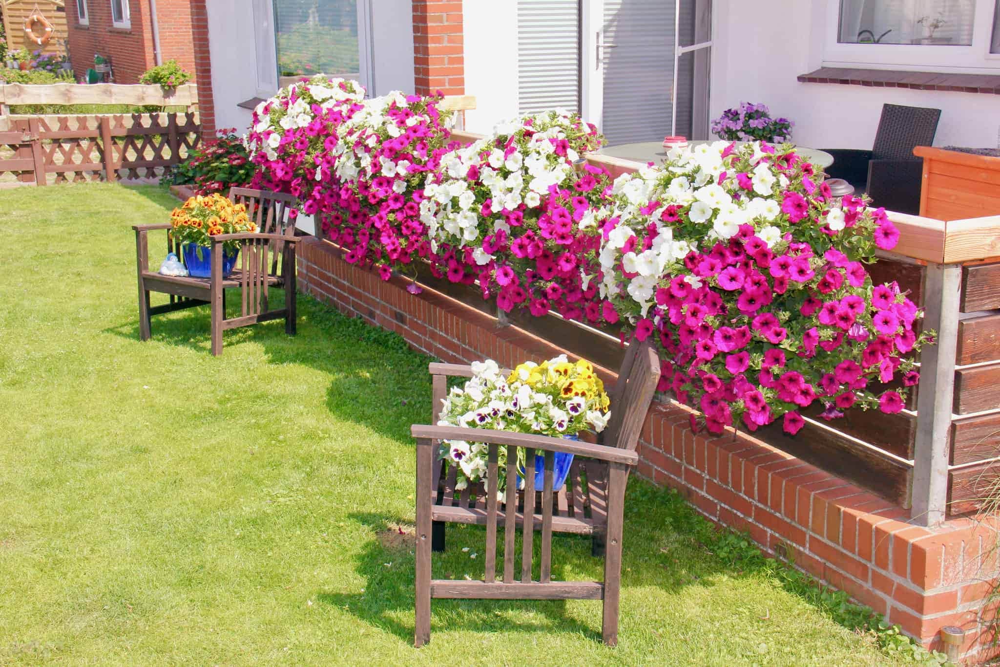 Sitzbank auf der Terrasse zwischen Blumenkübeln